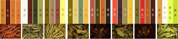茶人的秋冬亦能拥有五彩斑斓的世界，茶叶将一年四季的颜色都锁在了它的骨子里