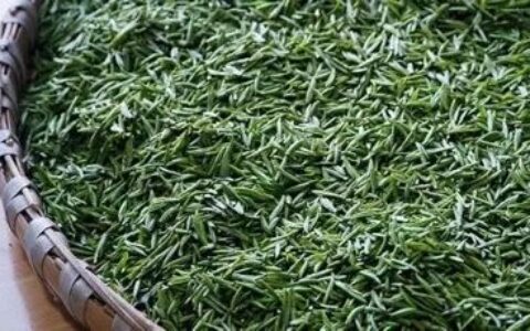 70后的羊肉串、80后的黄焖鸡，你确定没有喝过一杯冰鲜的“僵尸茶”？