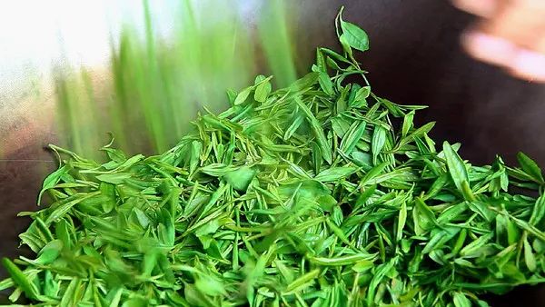 身骨轻飘/滴滴涕/乐果…把茶描述得五迷三道，这些玩家型语言到底说的啥？