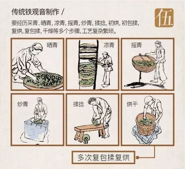 你可能只是喝过铁观音而已，八张图带你了解铁观音
