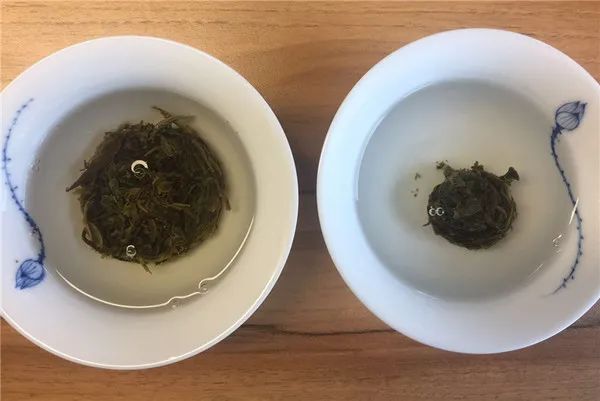 为什么别人泡出来很好喝的茶，我泡出来像假茶？普洱茶冲泡指南