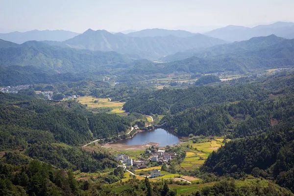 五条策略，教你领会茶人格调终极模式
