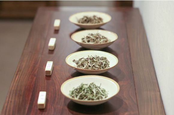 这篇万字超长文教你读懂关于白茶的几乎所有细节！可收藏作工具书使用