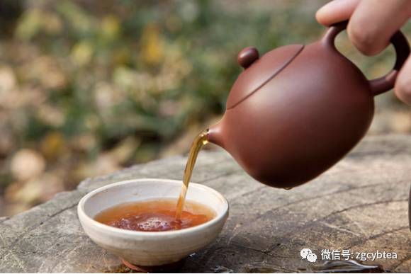 10分钟读懂熟普香气层次要领!你只会用'陈香'做评语的历史就此翻篇