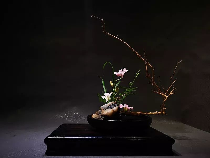 泡不同茶类的茶席该如何插花，钻研花道15年的插花大咖为你一一详解！