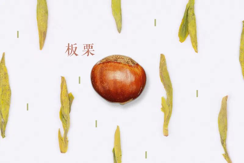 绿茶品饮正当时，该如何形容它丰富多层的香气？我们一层一层剥给你看