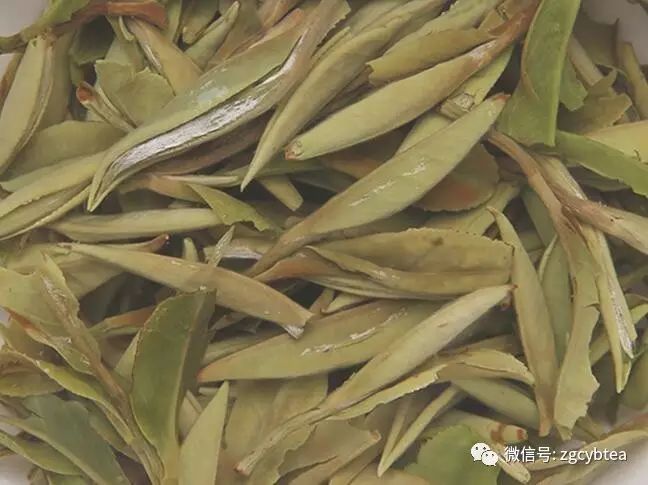 超实用主流茗茶样本图:怕买到黑心假茶?请先对照这15款茶叶外形