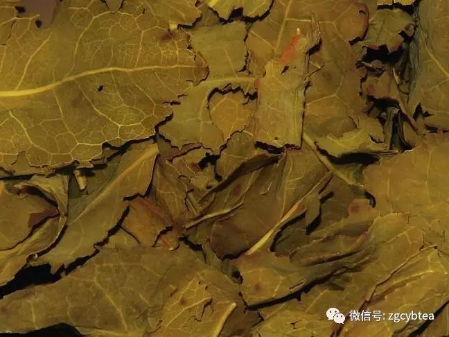 超实用主流茗茶样本图:怕买到黑心假茶?请先对照这15款茶叶外形