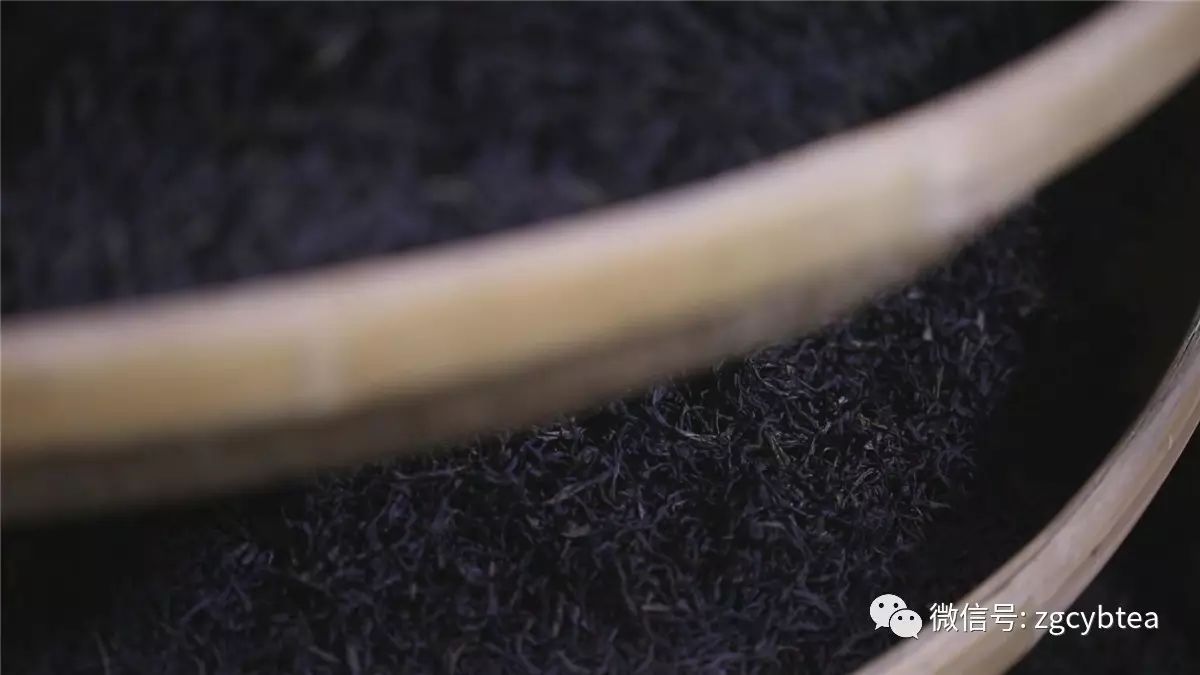 这9条凤凰单丛冷知识,连从小喝单丛长大的70%潮汕人都不知道！