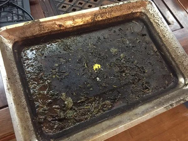 今天，邀请你一起掀开茶桌，一起来分享是惊喜还是惊吓！