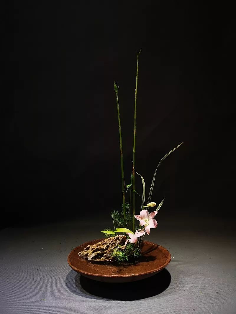 泡不同茶类的茶席该如何插花，钻研花道15年的插花大咖为你一一详解！