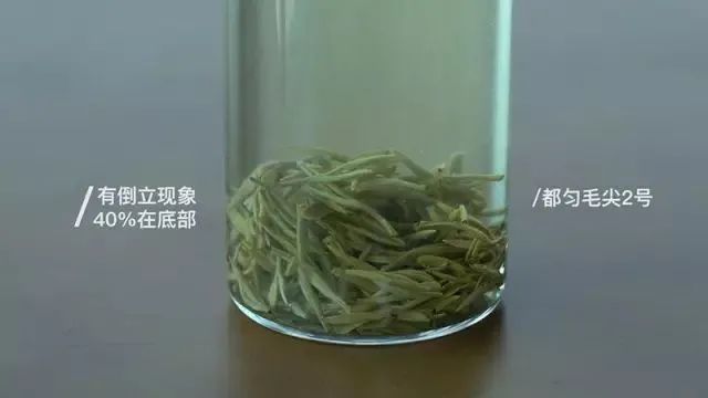 验证绿茶界“倒立现象”，我们做了这个实验