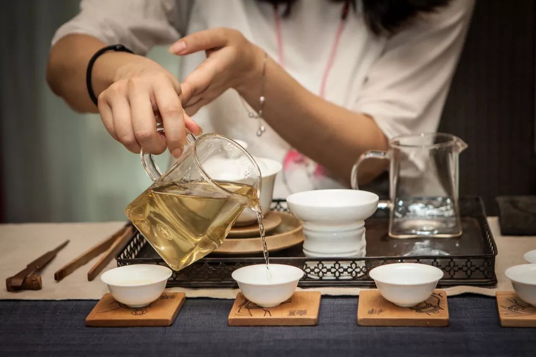 这篇万字超长文教你读懂关于白茶的几乎所有细节！可收藏作工具书使用
