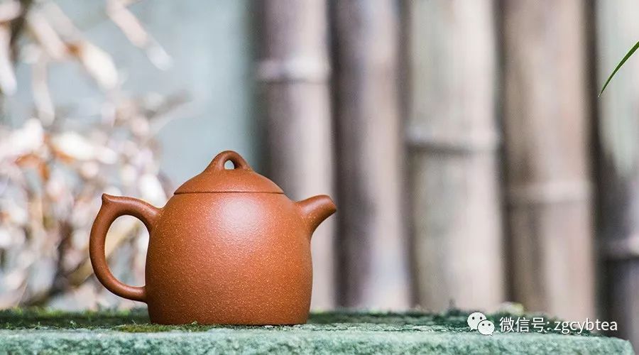 你常用的养壶"妙招"居然都是错的!玩壶大咖为你详解养壶正道
