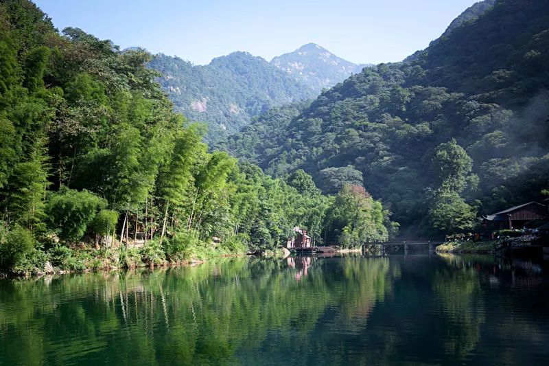 茶人必备免费壁纸:武夷岩茶/云南普洱/安徽祁红…这些好茶的绝美茶山都打包了