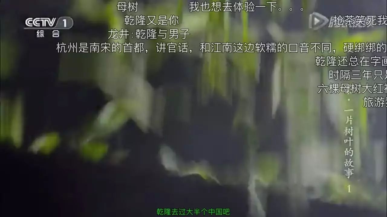 想让年轻人买茶？你得先透过茶叶纪录片上的“弹幕”了解他们！