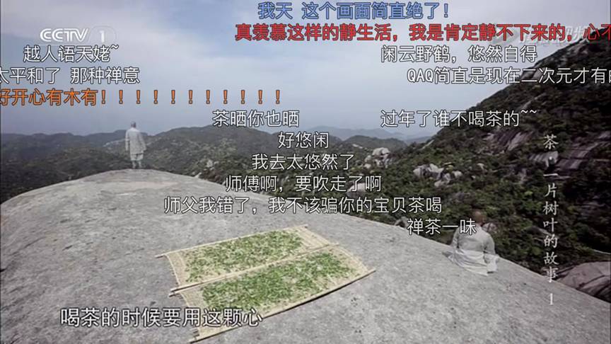 想让年轻人买茶？你得先透过茶叶纪录片上的“弹幕”了解他们！
