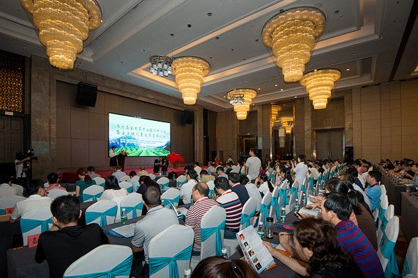 福建著名茶叶地方公共品牌IP打造哪家强？茶类区域IP管理必读！