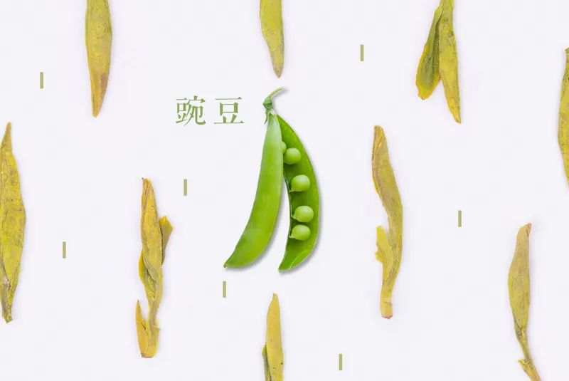 绿茶品饮正当时，该如何形容它丰富多层的香气？我们一层一层剥给你看