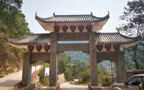 刮风寨茶农把我的茶王树掉包了，交易之地再无净土？