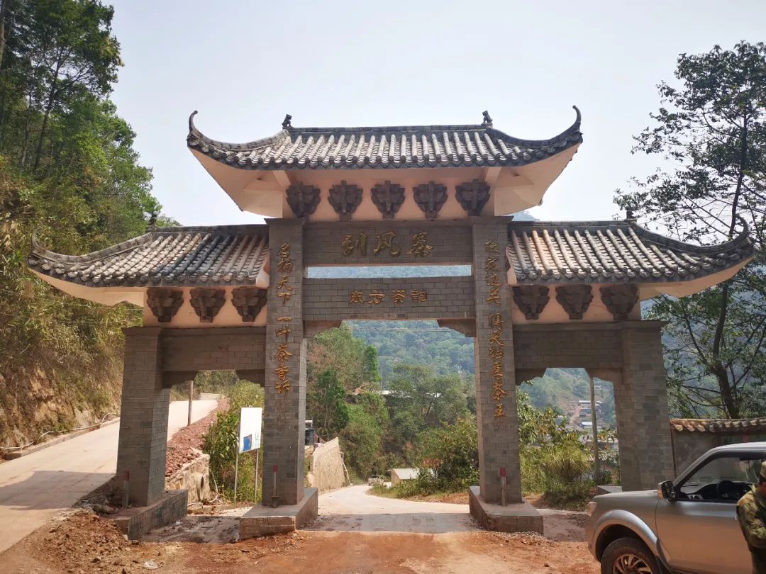 刮风寨茶农把我的茶王树掉包了，交易之地再无净土？