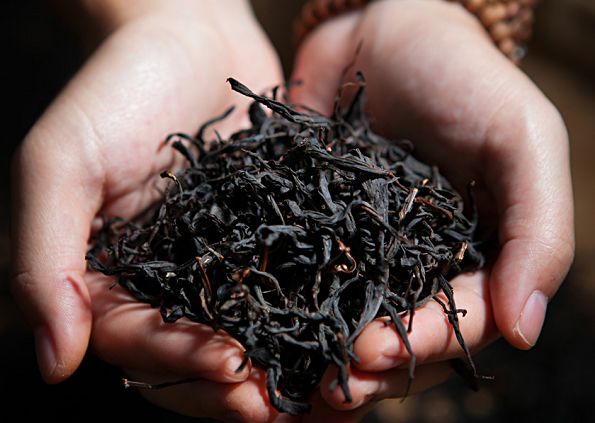 从茶号到合作社，再到中茶公司，这款茶叶的财富故事一直在不停书写