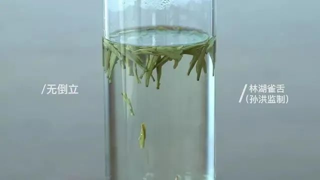 验证绿茶界“倒立现象”，我们做了这个实验