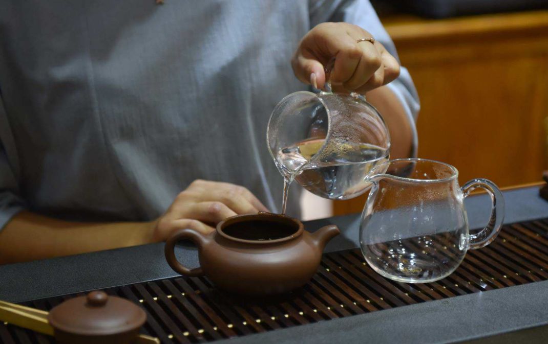 这篇万字超长文教你读懂关于白茶的几乎所有细节！可收藏作工具书使用