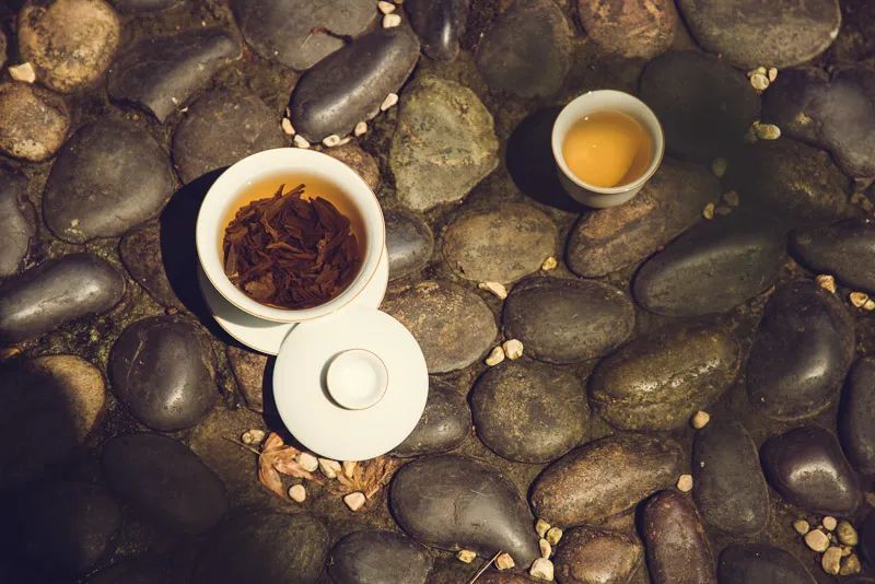 这些东西与茶同食，完全就是作死！（快停止你自戕不息的节奏吧！）