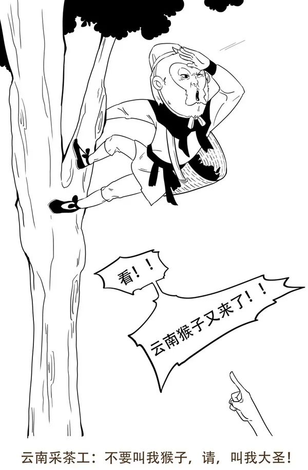 我被鄙视过，也鄙视过别人，这是一个个茶人百态的故事