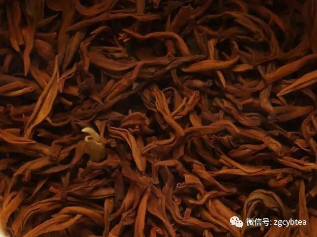 超实用主流茗茶样本图:怕买到黑心假茶?请先对照这15款茶叶外形