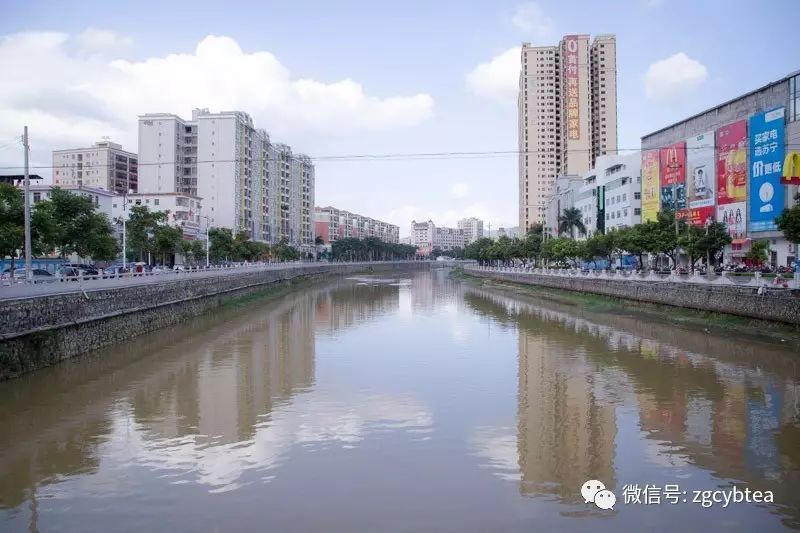 全国2862个县中它毫不起眼,却用牛肉丸和白溪茶氤氲了客家山乡梦
