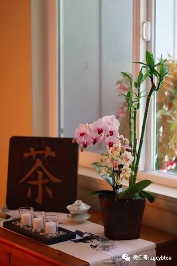 茶亭/石磨/锦鲤池/茶博会…这里是被茶文化彻底征服的美国西雅图！