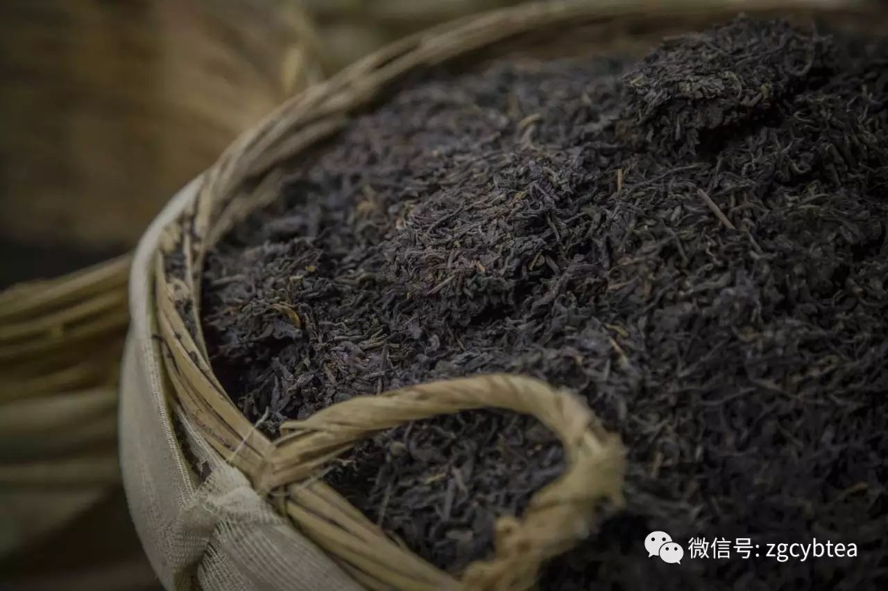 畅销境外半世纪的六堡茶，国内茶圈却有80%的人没喝过它的正味！