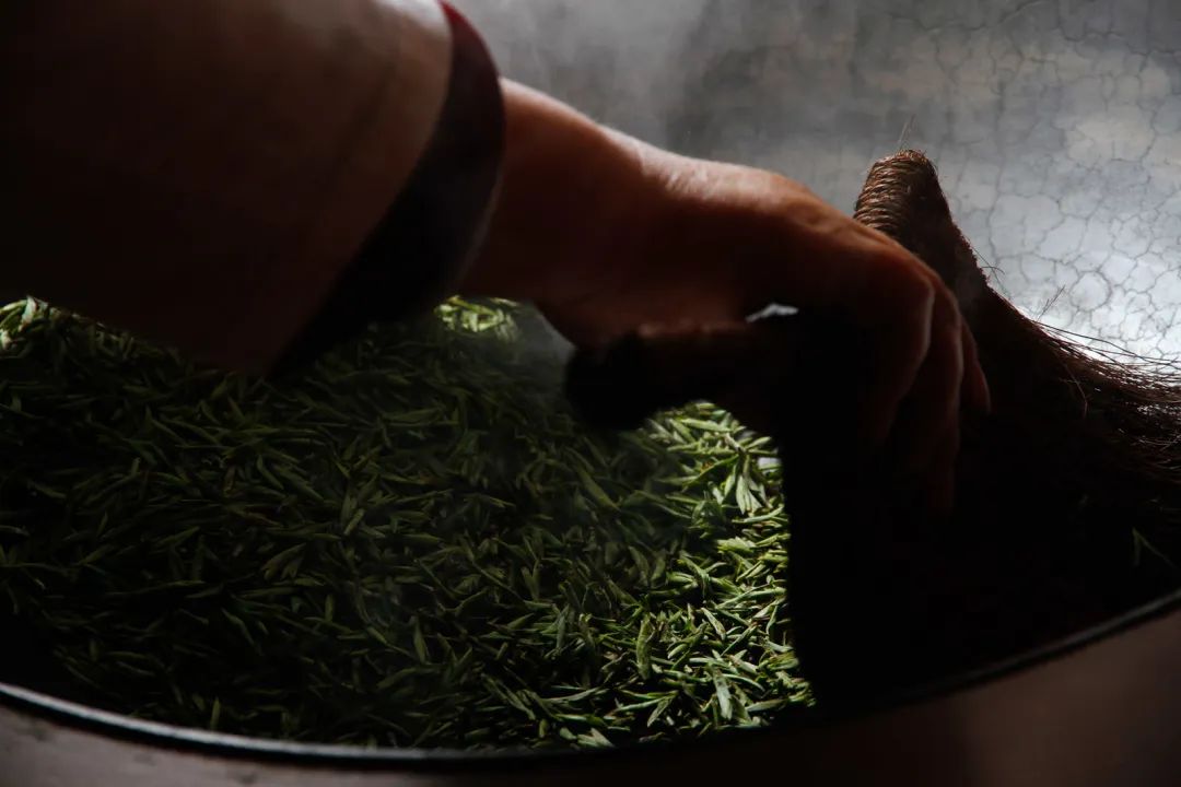 茶叶地域密码：究竟谁是川茶的光荣与梦想？（这是史上最早人工种植茶叶的地方）