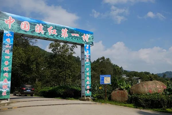 滇红16问，你还能找到拒绝滇红的理由吗？