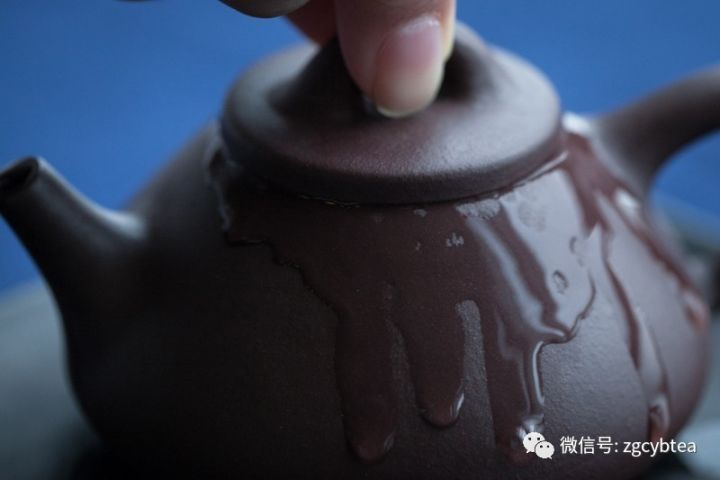 为了茶，这些人居然做了这么多丧心病狂的事情！