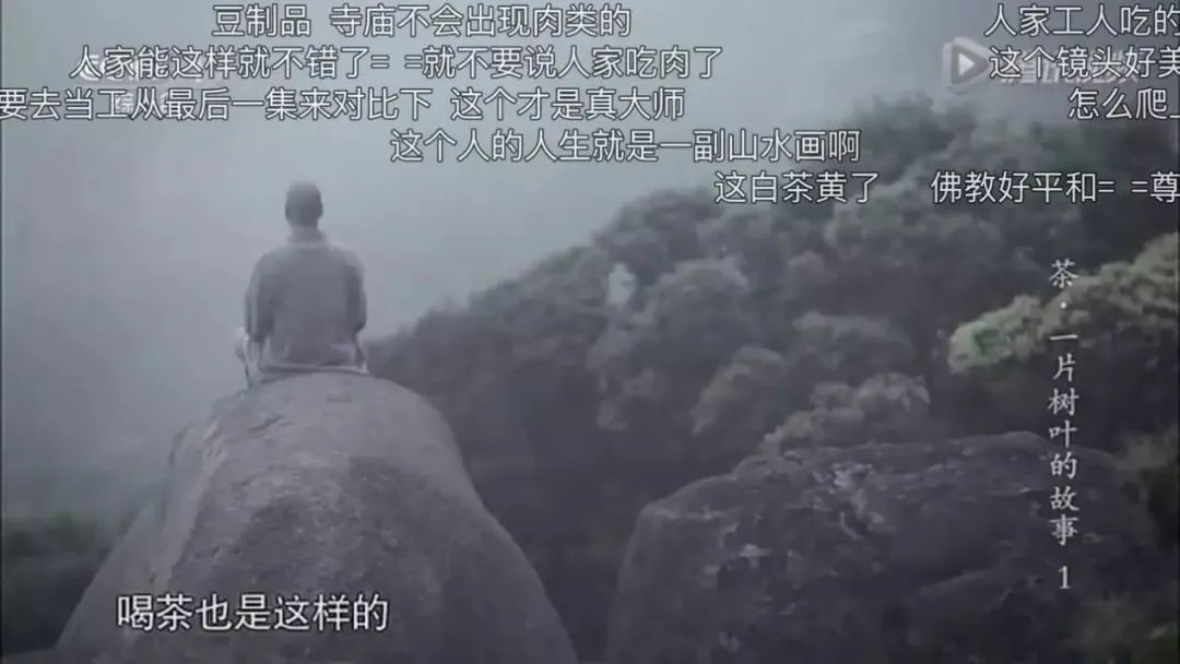 融入年轻人的“弹幕”法则