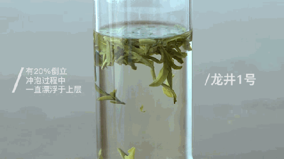 验证绿茶界“倒立现象”，我们做了这个实验