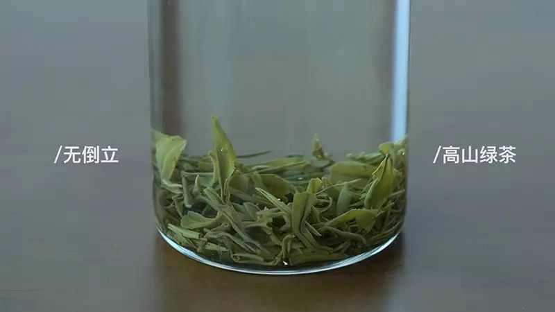 一口气泡了17款绿茶,验证是否只有龙井才能在茶汤中倒立?