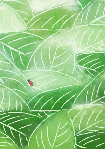 茶人的秋冬亦能拥有五彩斑斓的世界，茶叶将一年四季的颜色都锁在了它的骨子里
