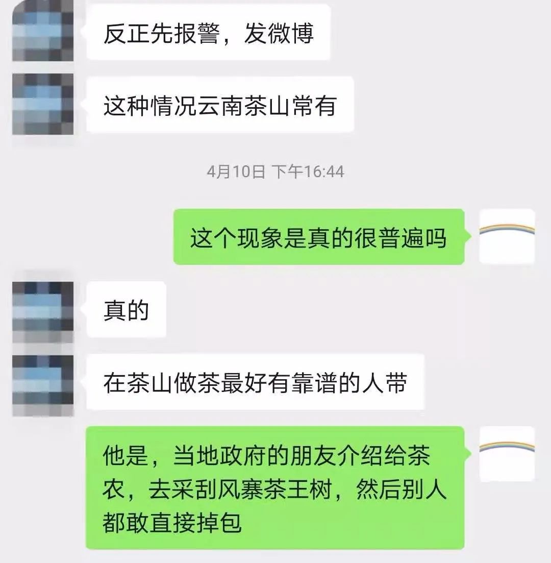 刮风寨茶农把我的茶王树掉包了，交易之地再无净土？
