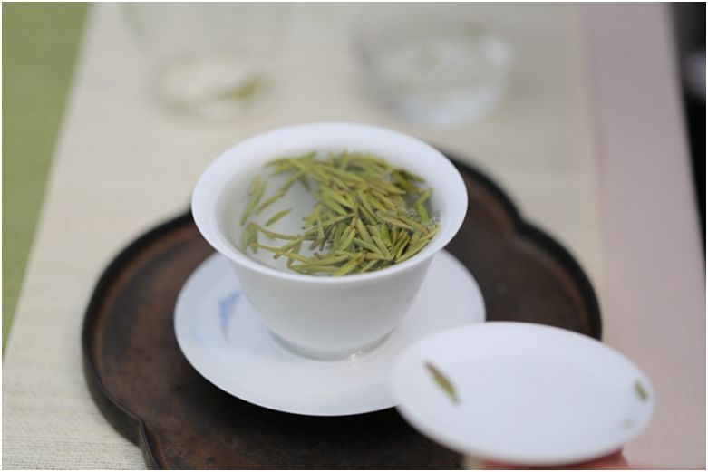 信了你的邪！长期饮用普洱生茶会引发多种疾病？关于EGCG的真相