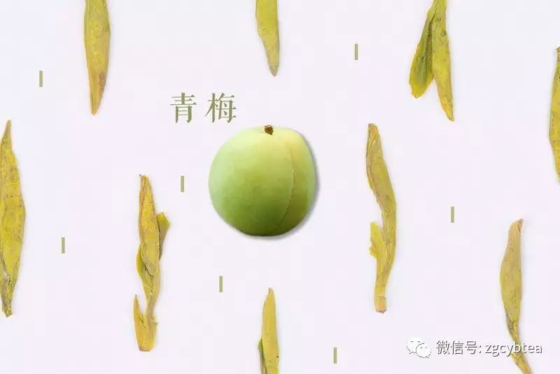 词穷?除了"鲜爽",该怎么形容绿茶的惊艳？9张绝美好图剖解绿茶
