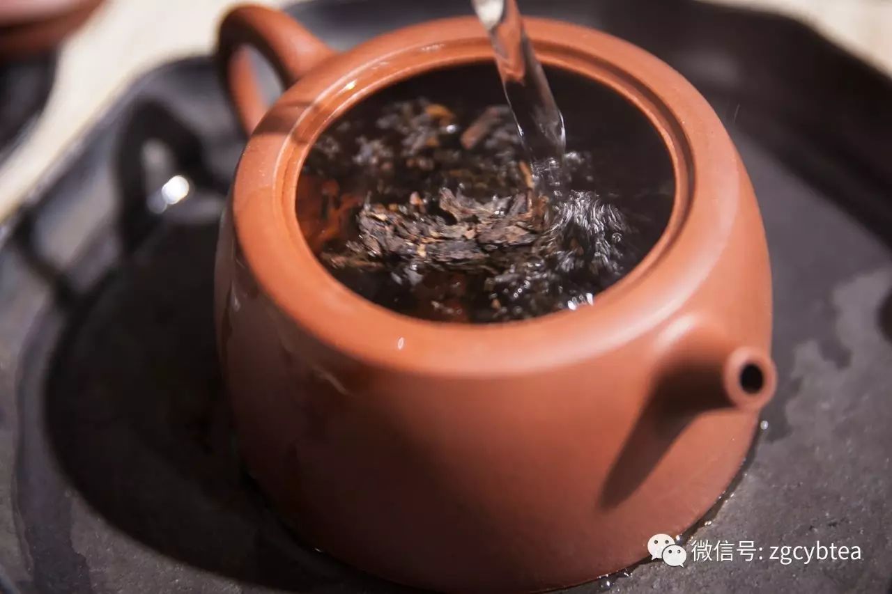 你为什么如此坚信那些说喝茶会钙流失、会长胆结石的茶界谣言？