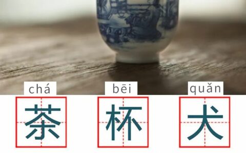没有这一部《节操词典》，怎么跟紧时代的步伐