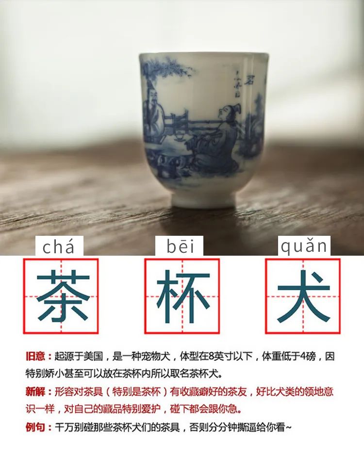 没有这一部《节操词典》，怎么跟紧时代的步伐