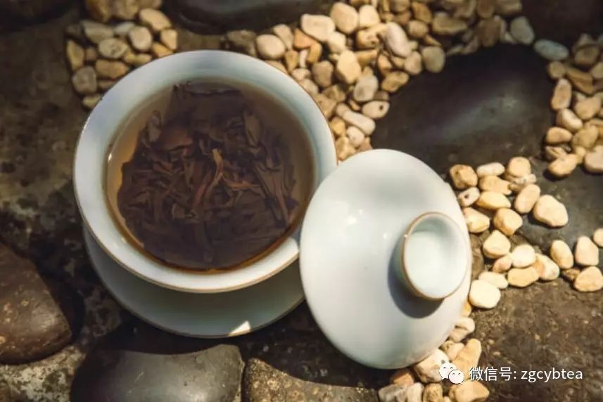 新茶做旧/绿改乌龙/存放失当,日渐火热的老单丛有哪些坑你不能跳?