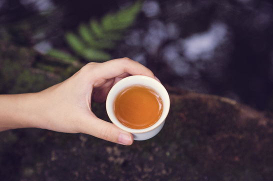 关于秋茶，你最关心的N个问题，答案都在这里！
