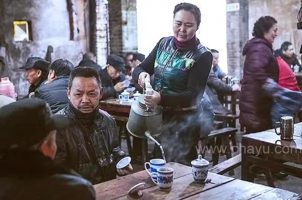 有这个才华还用卖茶？茶界高质量文案的天花板来了